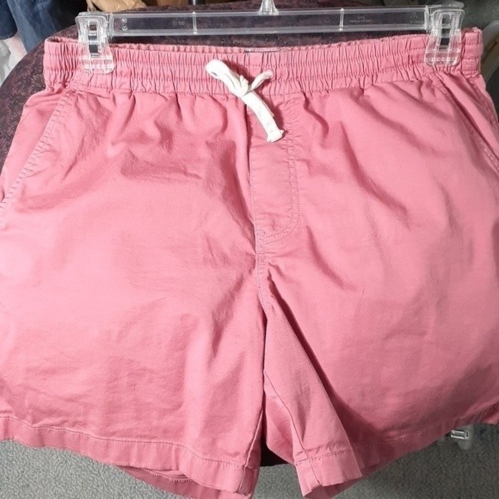 J. crew pink shorts m classic chino gorpcore medium athleisure